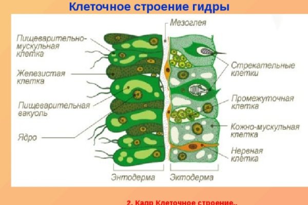 Какой нужен тор чтоб зайти в кракен