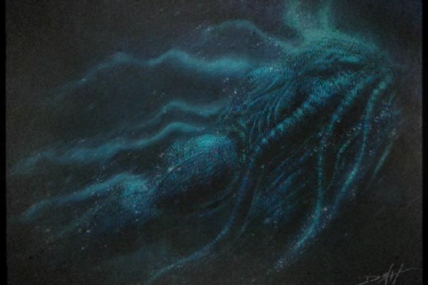 Kraken 13at